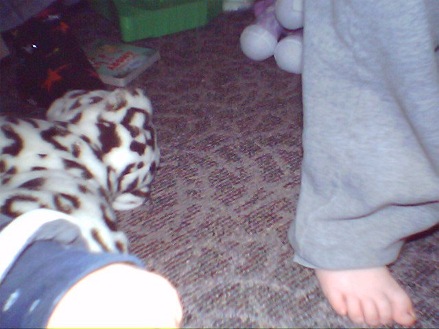 IMG 00011 (47)